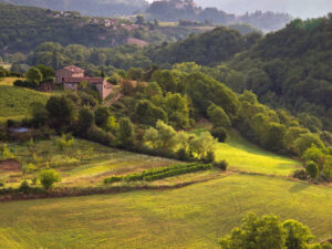 Paysage rural tôt le matin en Ardèche, France